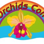 Logo_KSLI_ORCHIDS